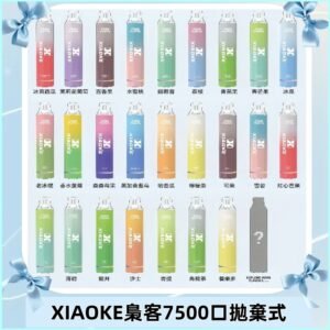 梟客XIAOKE|7500口可發光拋棄式電子煙 跑馬燈一次性